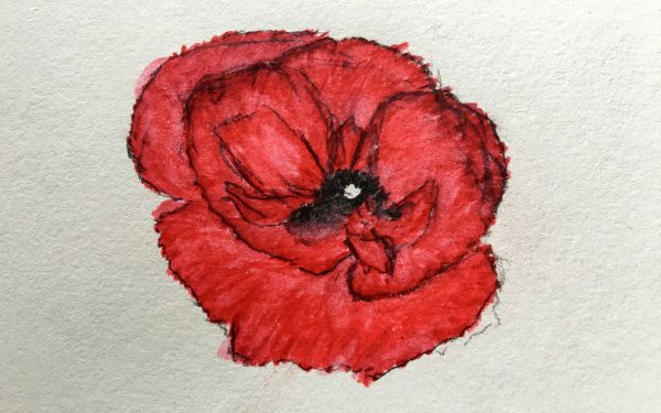 Painting of a poppy