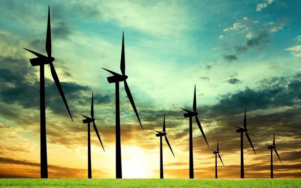 Wind Farm Environmental Tour