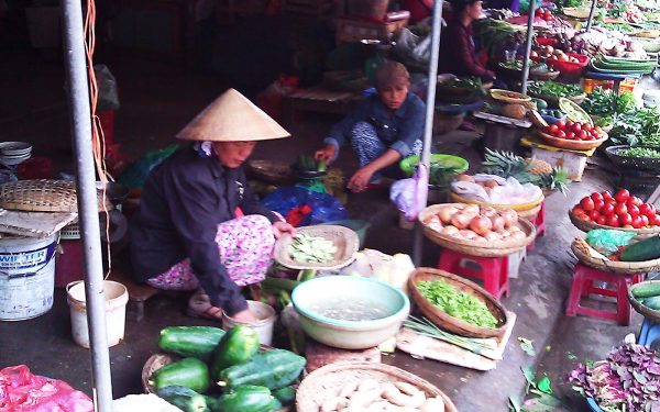 Vietnamese Market Language Experience Australia and its Asian Neighbours Corss Curriculum Priorities Tours