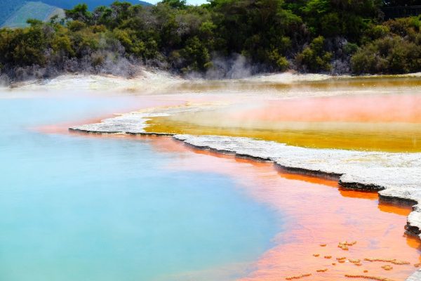 Rotorua New Zealand