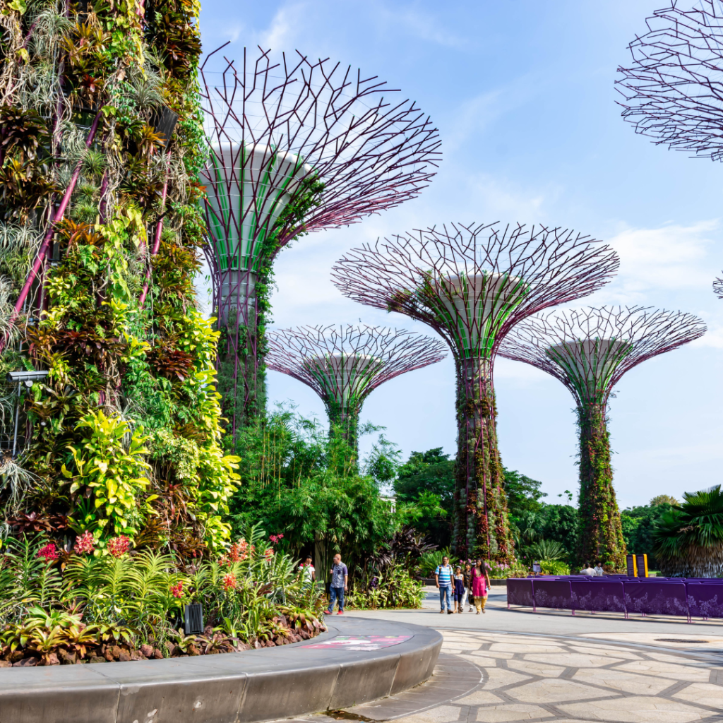 Gardens by the bay